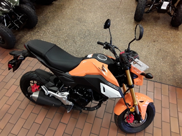 New 2019 Honda Grom Base In St Louis M18086 Mungenast